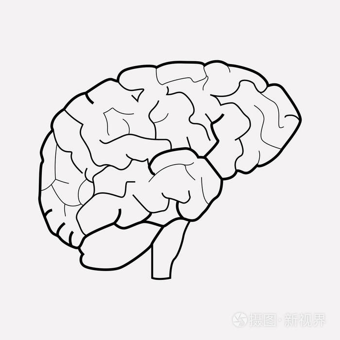 为您的 web 移动应用程序徽标设计在干净的背景上隔离的大脑图标线的