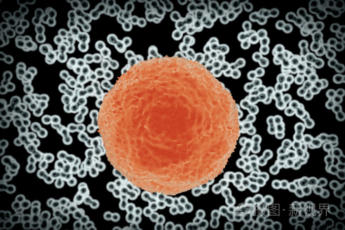 科学概念.细菌细胞.3d 渲染照片-正版商用图片0sdigr-摄图新视界