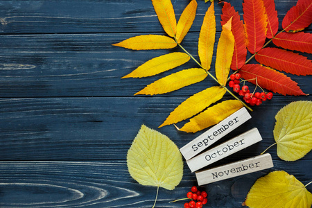 五颜六色的秋天叶子 黄色和红色谎言在灰色木制的背景旁边木酒吧以月份名字 9月, 10月, 12月。秋天, 季节变动概念