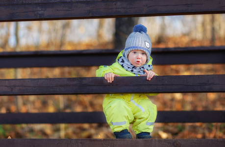 滑稽的男孩坐在木板篱芭之间在秋天公园