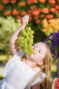 美丽快乐的小女孩，吃美味的绿色葡萄