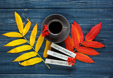 五颜六色的秋天叶子 黄色和红色谎言在灰色木制的背景旁边木酒吧以月份名字 9月, 10月, 12月。秋天, 季节变动概念
