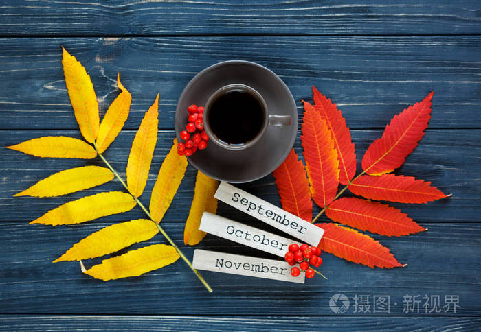 五颜六色的秋天叶子 黄色和红色谎言在灰色木制的背景旁边木酒吧以月份名字 9月 10月 12月 秋天 季节 变动概念照片 正版商用图片0sdntc 摄图新视界 五颜六色的秋天叶子 黄色和红色谎言在灰色木制的背景旁边木酒吧以月份名字 9月 10月 12月 秋天 季节 变动概念照片 正版商用图片0sdntc 摄图新视界
