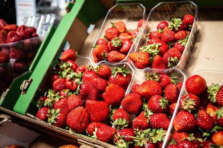 成熟的草莓在农场市场上