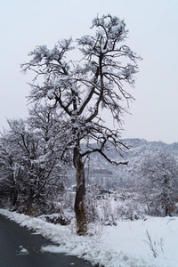 冬天下雪的山峰全景