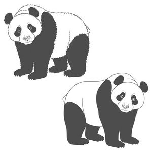 熊猫的黑白图像。白色背景上的孤立矢量对象