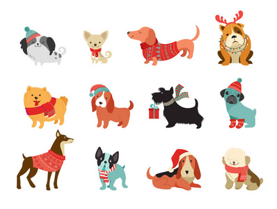 收集圣诞狗, 圣诞快乐插图可爱的宠物与配件像绑扎帽子, 毛衣, 围巾