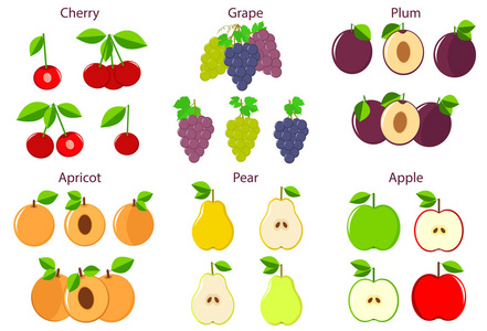 五颜六色的水果设置苹果 樱桃 梨 葡萄 杏