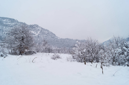 冬天下雪的山峰全景