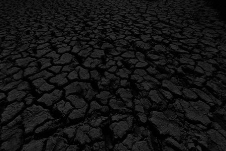 黑土地毛笔字图片