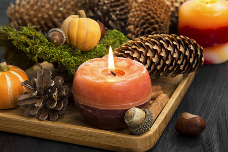 秋季蜡烛装饰与视锥，肉桂棒，橡子，尼斯