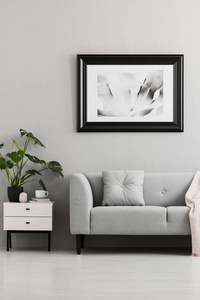 灰色沙发与垫子旁边的白色橱柜与植物在平坦的内部与海报。真实照片