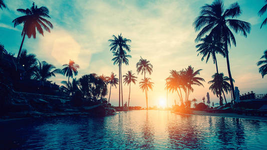 亚热带棕榈海岸的壮观日落