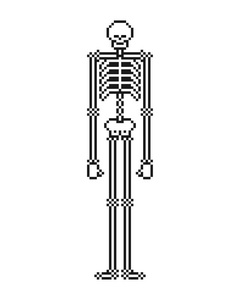 骨架像素艺术。头骨和骨骼8位。矢量插图