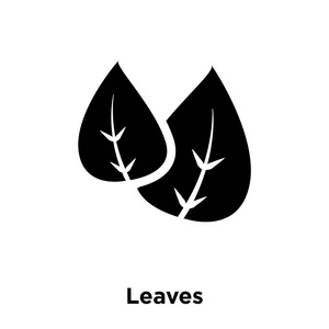 叶子图标向量在白色背景下被隔绝, 标志概念叶子标志在透明背景, 被填装的黑色标志