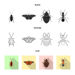 昆虫和飞行符号的孤立对象。网络昆虫和元素股票符号集