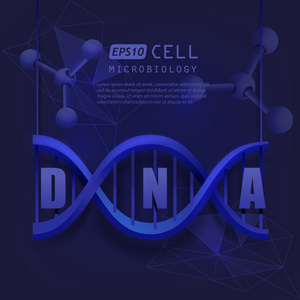 dna 分子设计