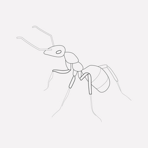 ant 图标行元素.