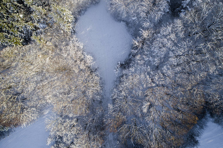 阳光明媚的冬日白雪覆盖森林的鸟瞰图