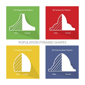 4 类人口金字塔图