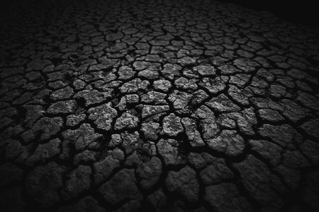 黑土地, 腐殖质, 在黑暗中布满了深深的裂缝.倾斜移位照片