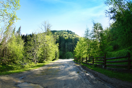 通路在山林中