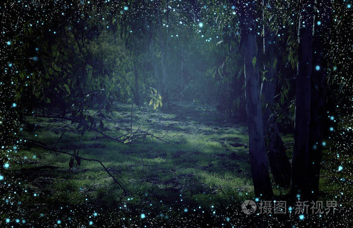 萤火虫在夜间森林中飞行的抽象和神奇的形象.童话概念