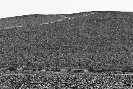 在以色列南沙漠的岩石丘陵荒凉无穷。惊人的景观和中东的性质。黑白照片