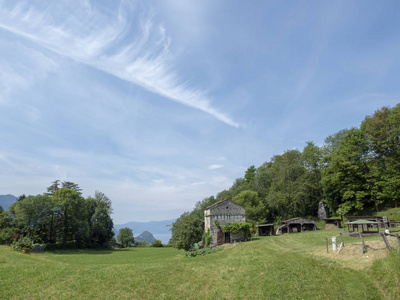 山路从 Arcumeggia 到 Laveno, 瓦雷泽, 伦巴第, 意大利, 在夏天, 与百合