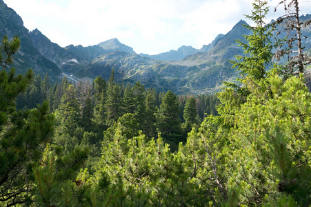 Tatra 山, 茂密的森林和陡峭的山峰, 斯洛伐克的美丽的性质