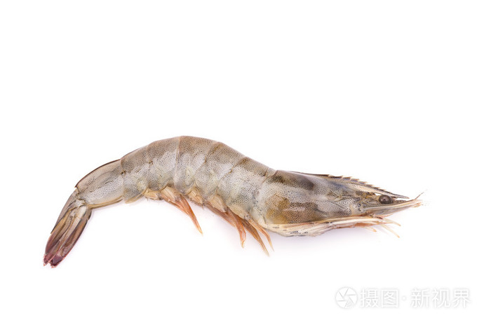 白色背景上孤立的鲜虾