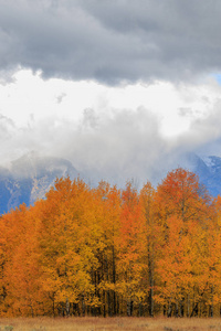 大提顿国家公园秋季景区景观