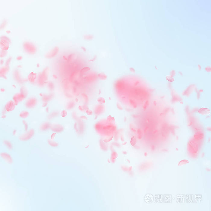 蓝天广场上的飞花瓣