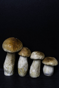 秋临蘑菇。Ceps 单面在木质深色的背景上, 紧贴在木制的餐桌上。烹饪美味的有机蘑菇。美食食品