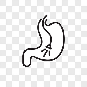 内窥镜矢量图标隔离在透明背景下, endosc照片