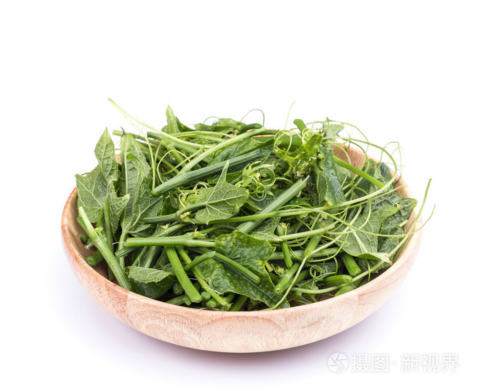 孤立在白色背景上的新鲜绿色佛手瓜叶