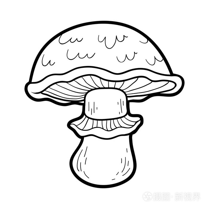 着色书. 可食用蘑菇
