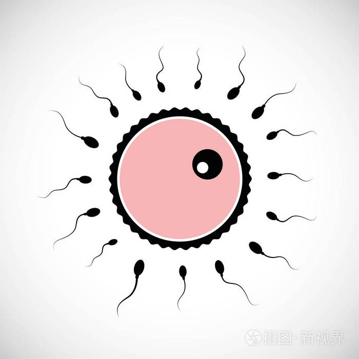 雌性卵子与雄性种子相遇的生殖概念