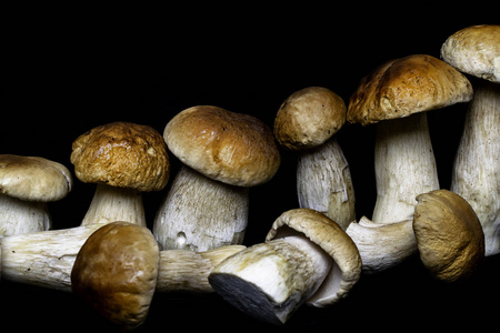 秋临蘑菇。Ceps 单面在木质深色的背景上, 紧贴在木制的餐桌上。烹饪美味的有机蘑菇。美食食品