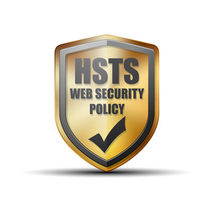 Web 安全政策标志