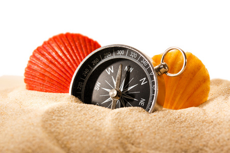 海贝壳和沙子的指南针图片