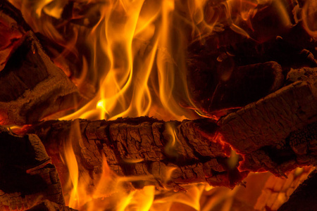 火炉中燃烧木柴和木炭有木炭和火焰的烤架热带鱼和网火珊瑚背景黑色