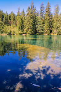 美丽的自然场面在 Crestasee 和 Caumasee 在瑞士山脉和阿尔卑斯