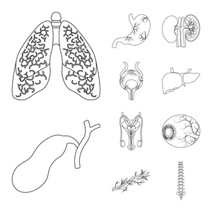 人体和人类标志的孤立物体。股票的身体和医学矢量图标集