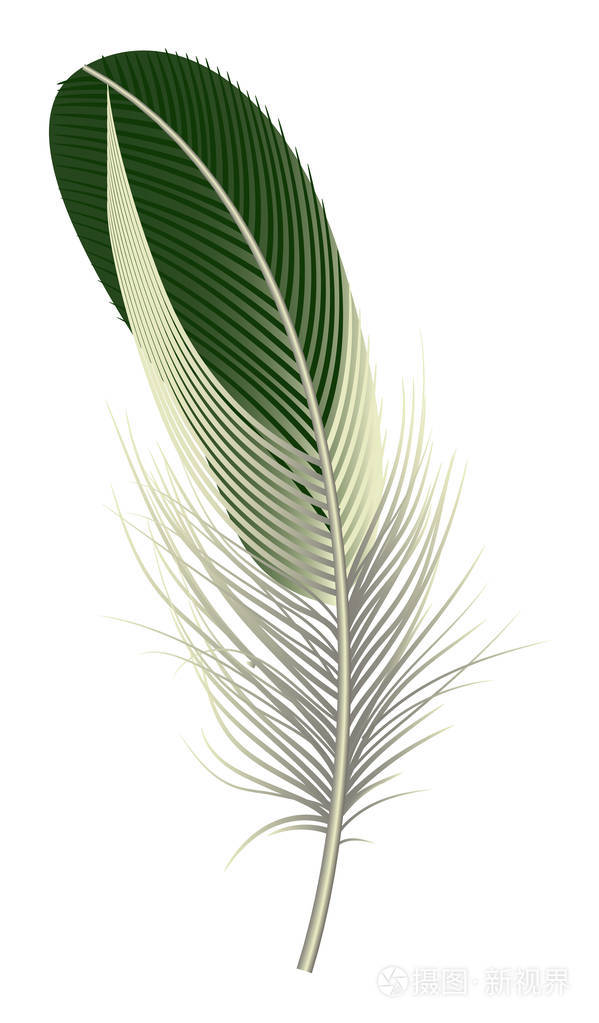 奇特的鸟羽毛图标, 逼真的风格插画-正版商用图片0sfdpy-摄图新视界