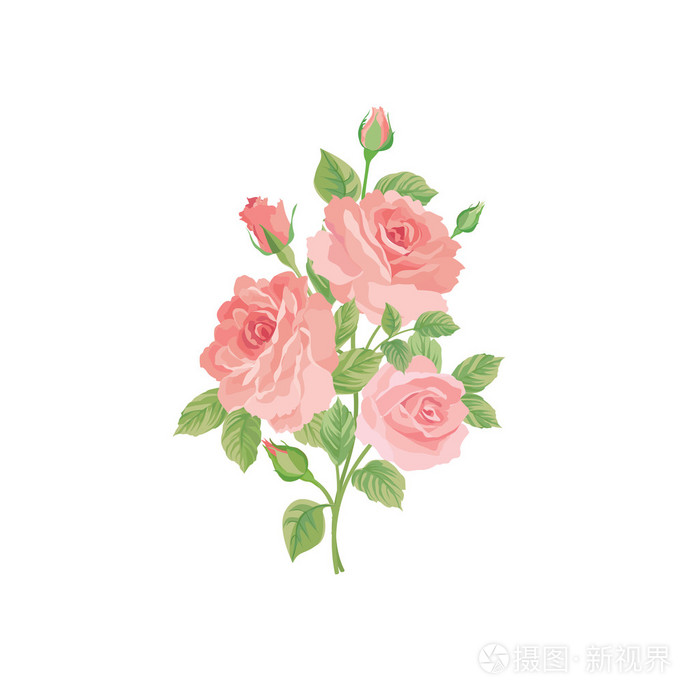 玫瑰鲜花一般不可缺少的花束插画-正版商用图片0sferl-摄图新视界