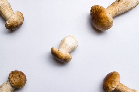 秋临蘑菇。Ceps 单面, 在白色烹调美味有机蘑菇分离。美食食品