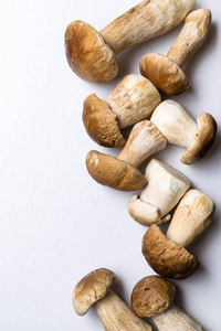 蘑菇单面在白色背景。秋临蘑菇。Ceps 单面, 合煮美味的有机蘑菇。美食食品