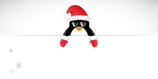 酷企鹅与太阳镜和红色手套圣诞快乐