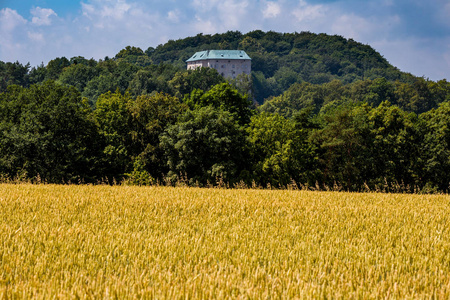 一个金色的麦田和一座带有落叶森林和城堡的小山 Houska